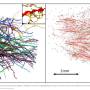 small_sction_of_dataset.jpg