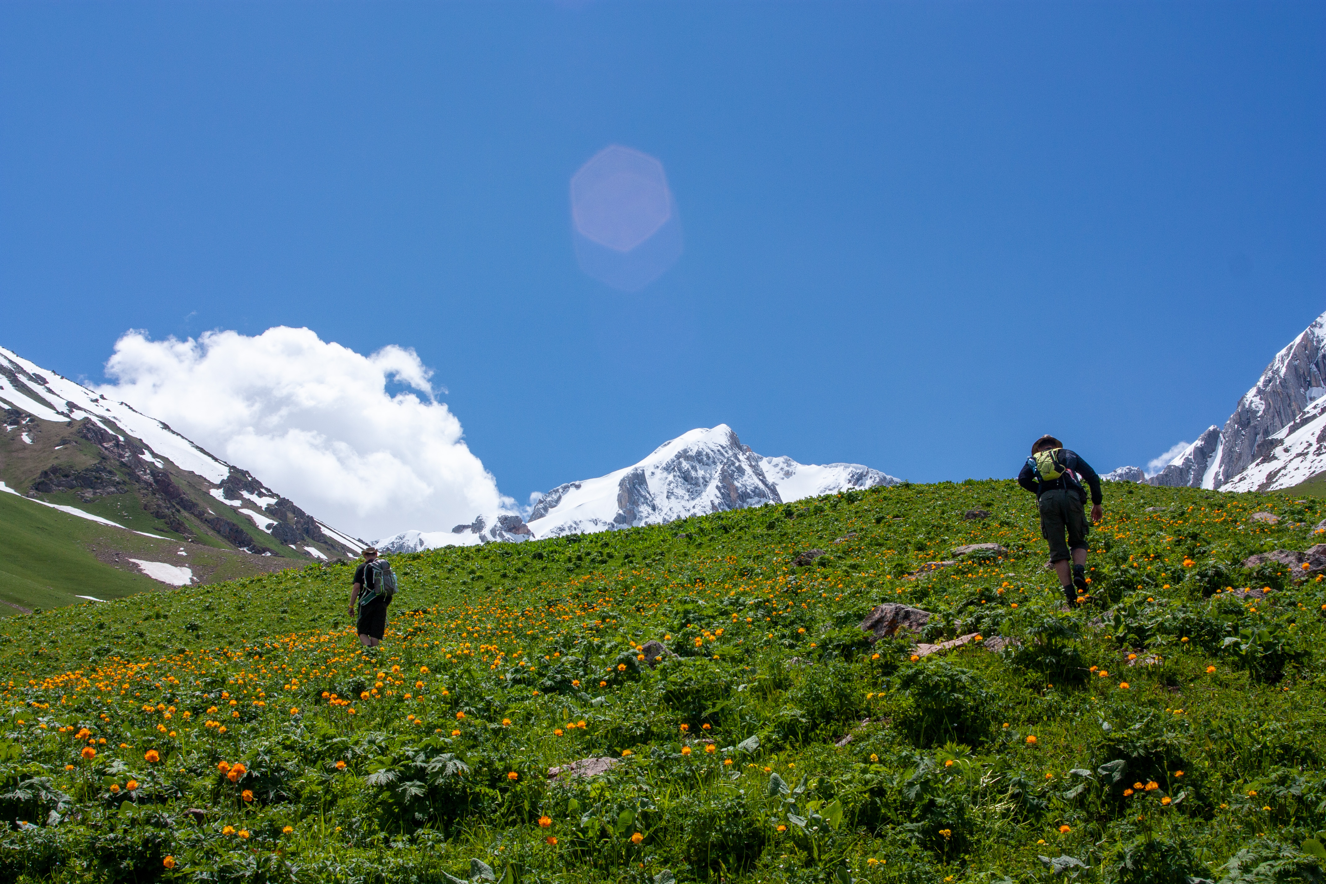 hory kolem čičkanské soutěsky